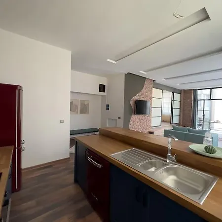 101- Garden, Jacuzzi, Spacious, Luxury House Apartment Ankara
